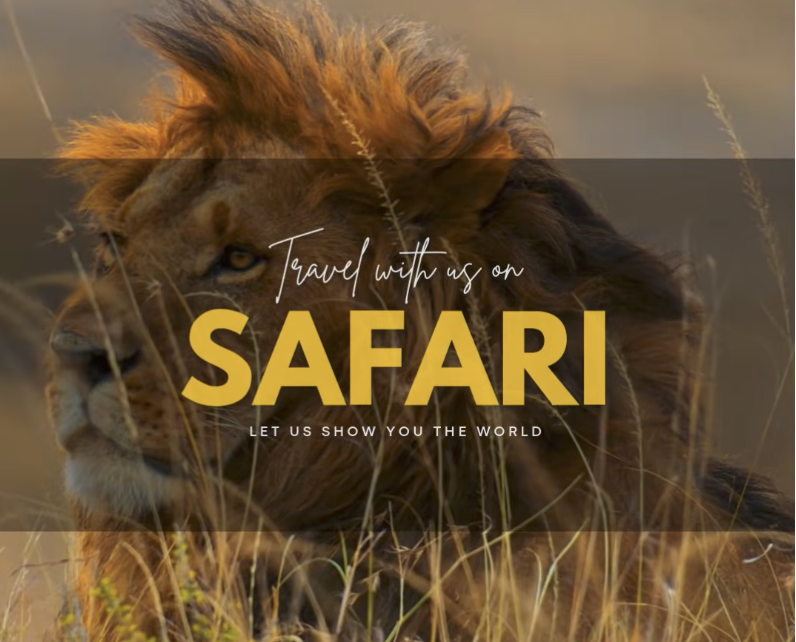 Mobile Reels - SAFARI